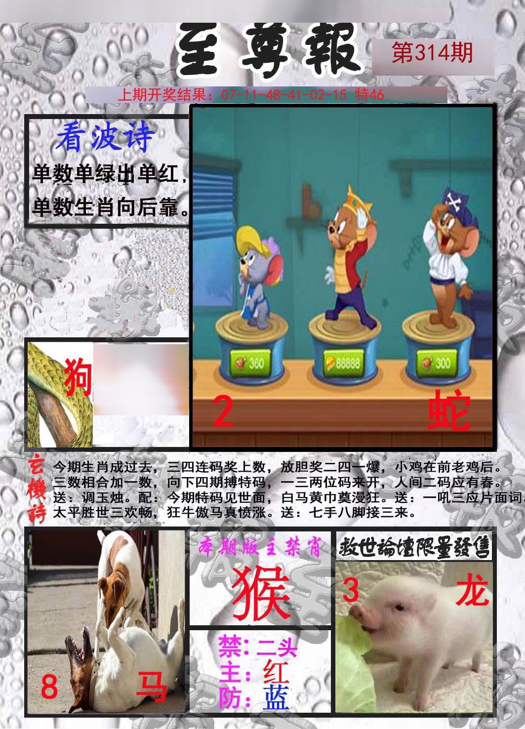 2024314期至尊报