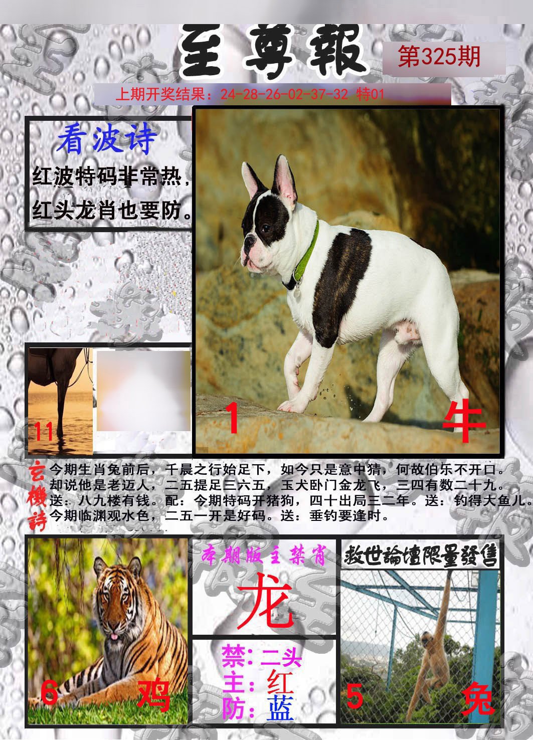 2024325期至尊报