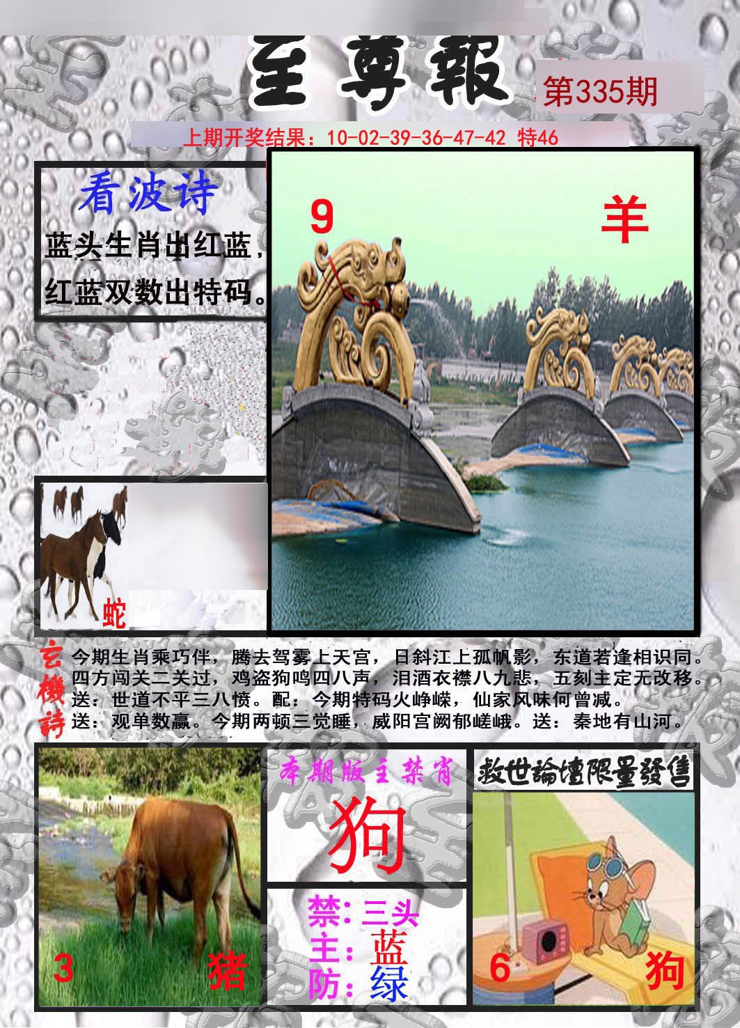 2024335期至尊报