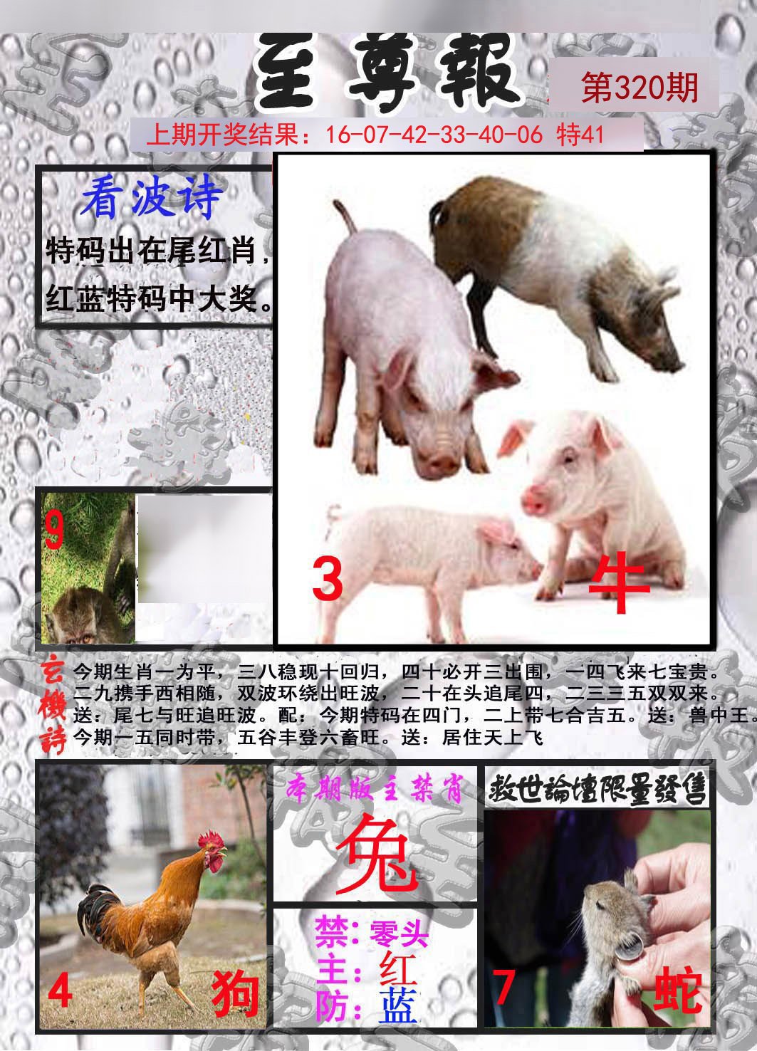 2024320期至尊报