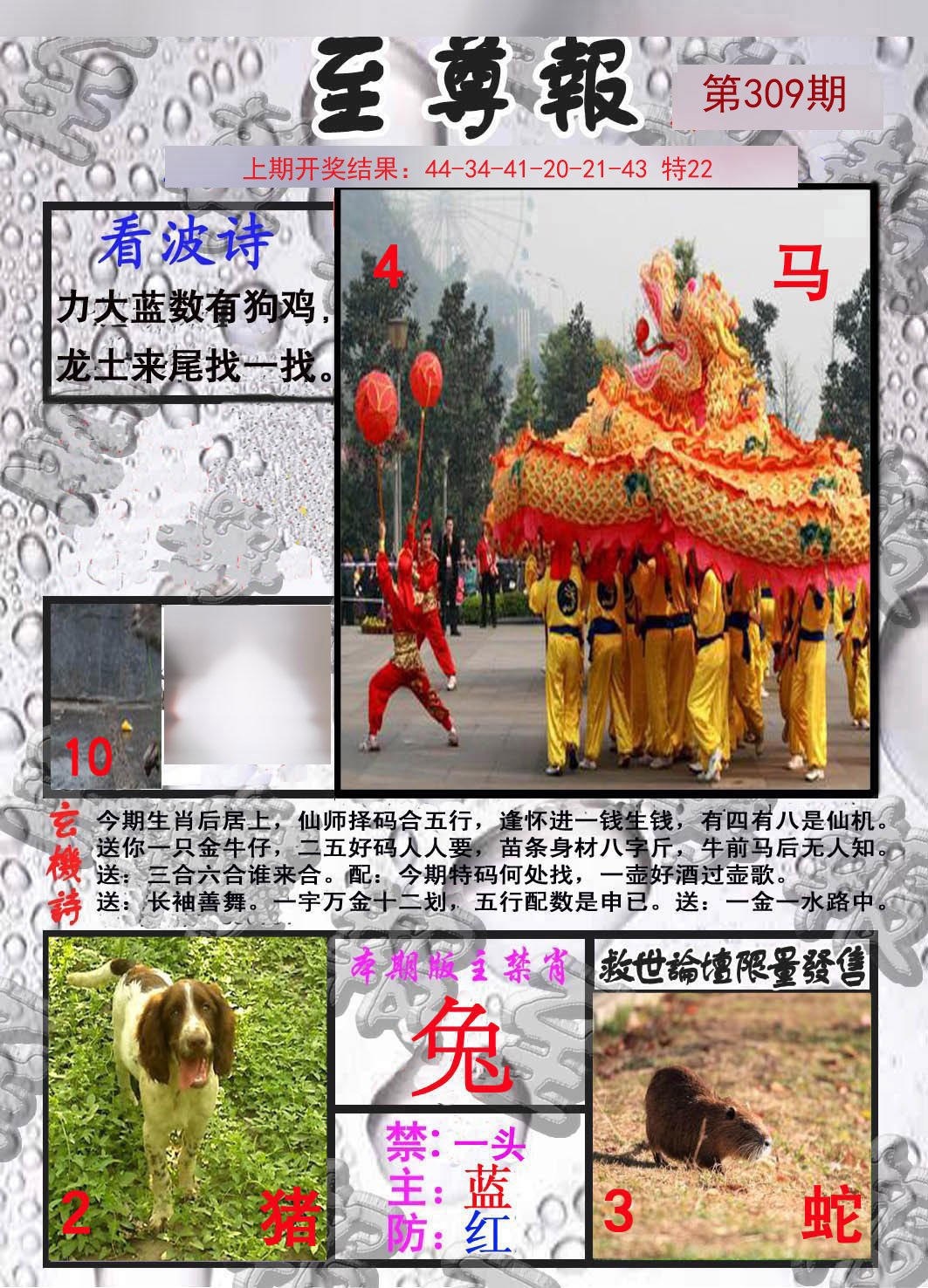 2024309期至尊报
