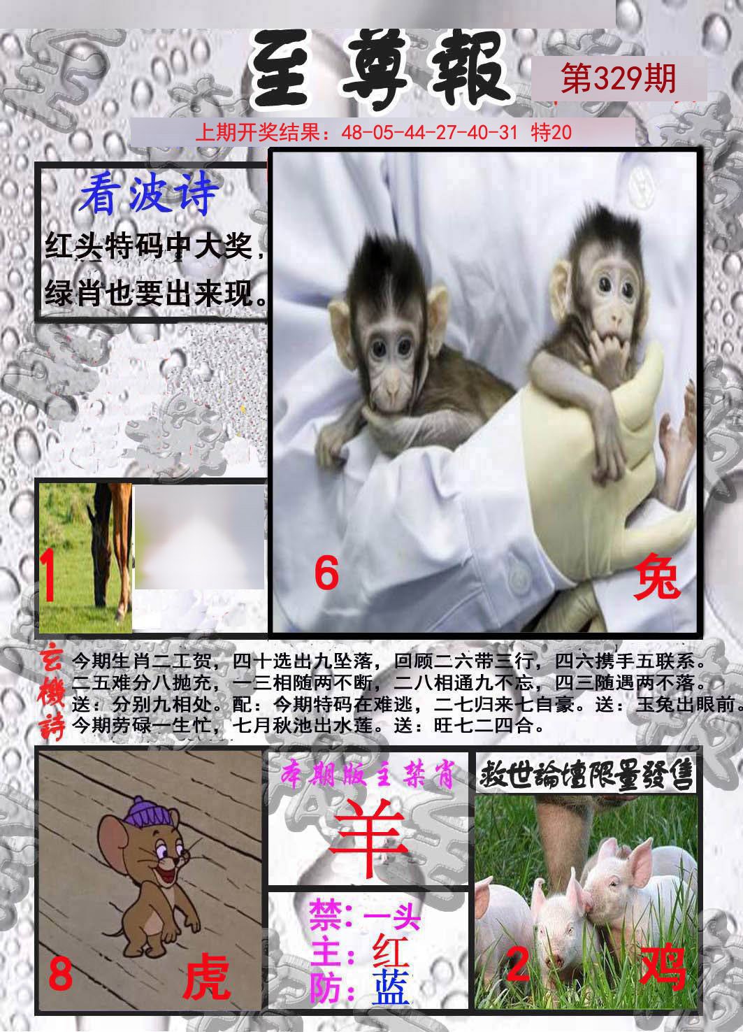 2024329期至尊报