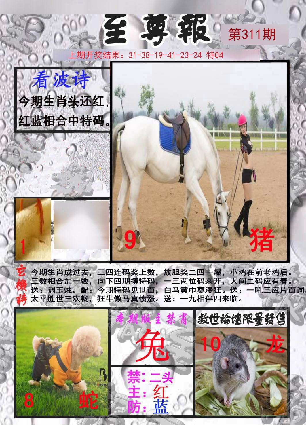 2024311期至尊报