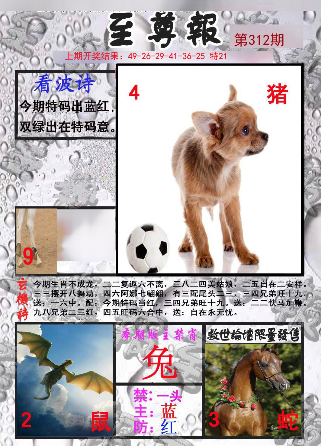 2024312期至尊报