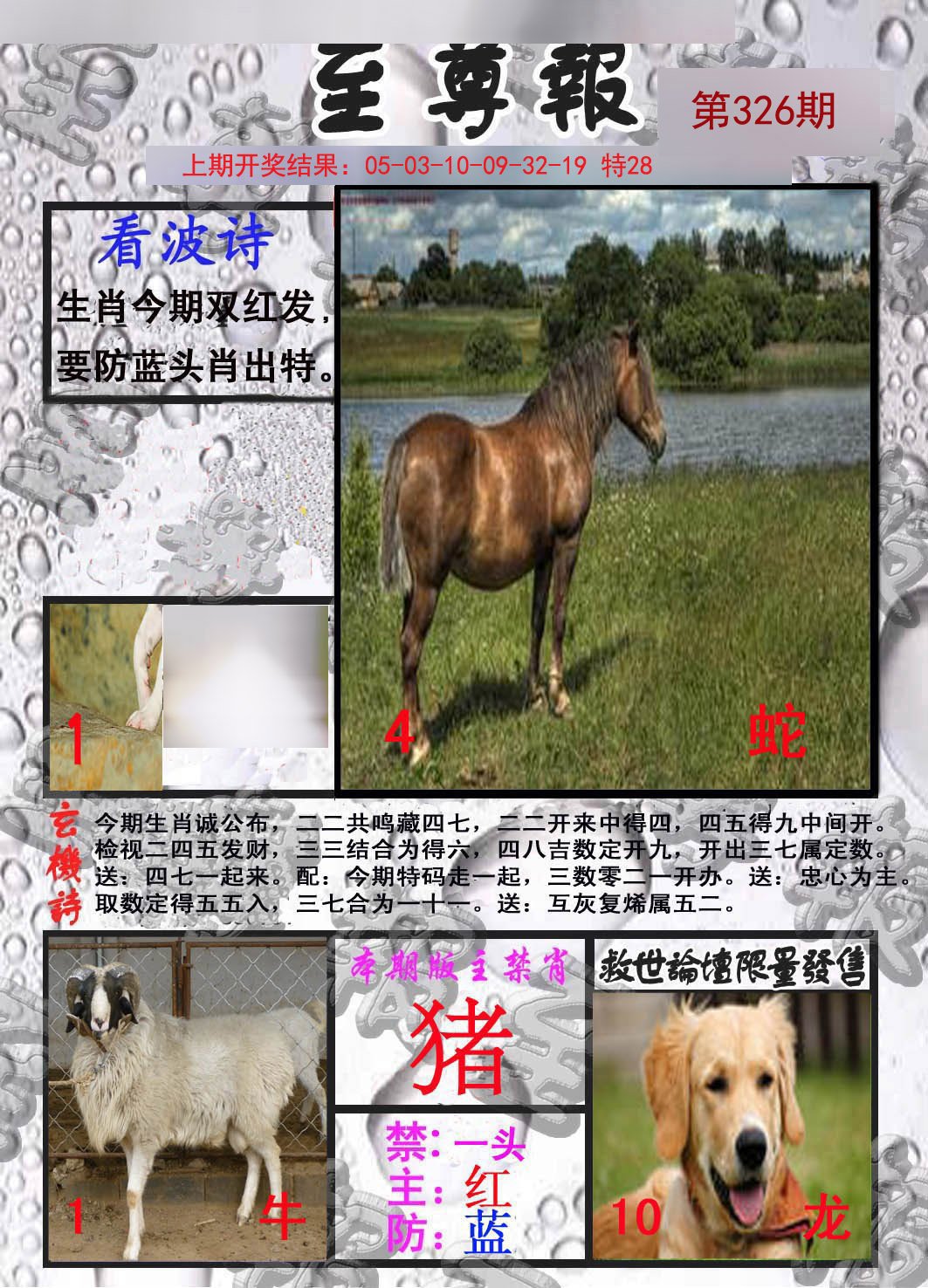 2024326期至尊报