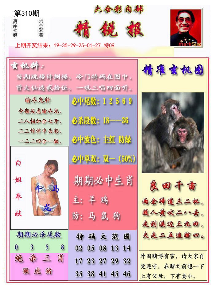 2024310期精锐报