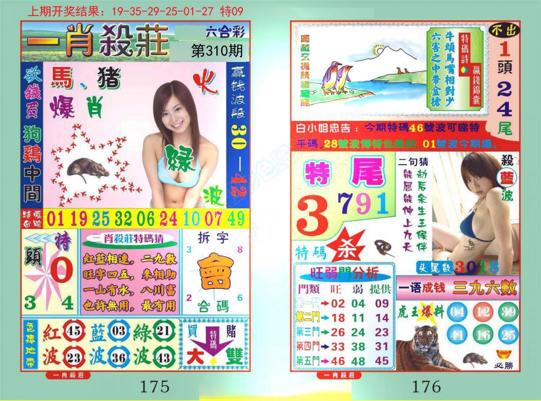 2024310期一夜富