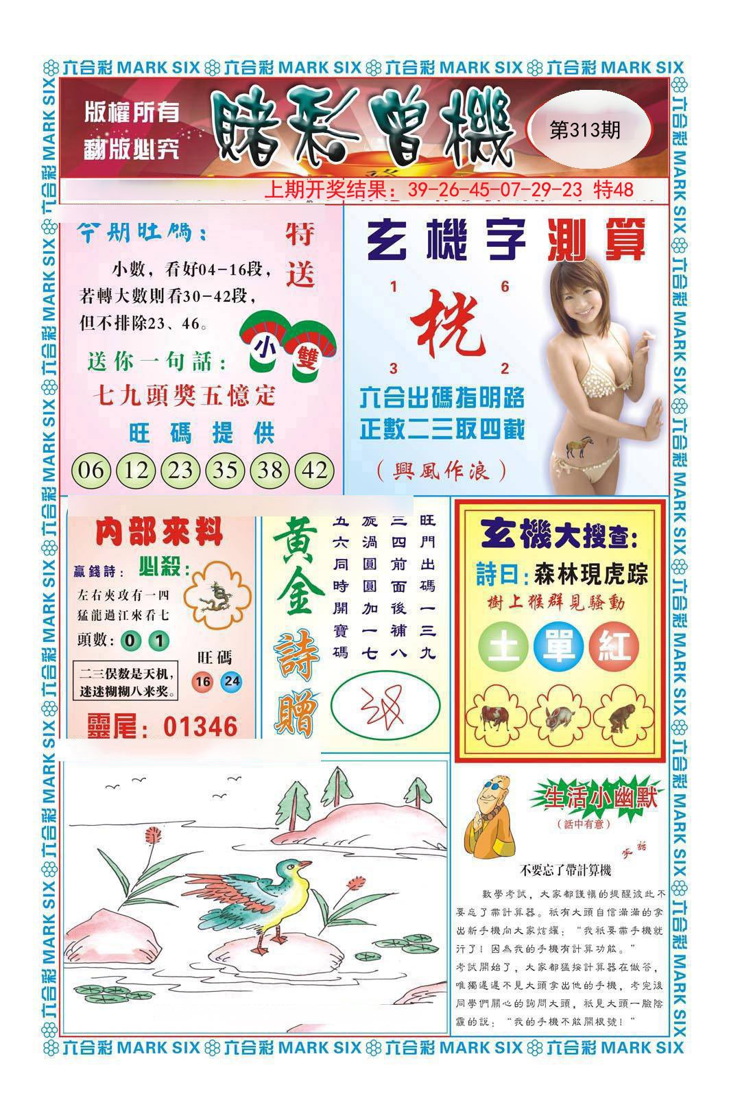 2024313期赌彩曾机