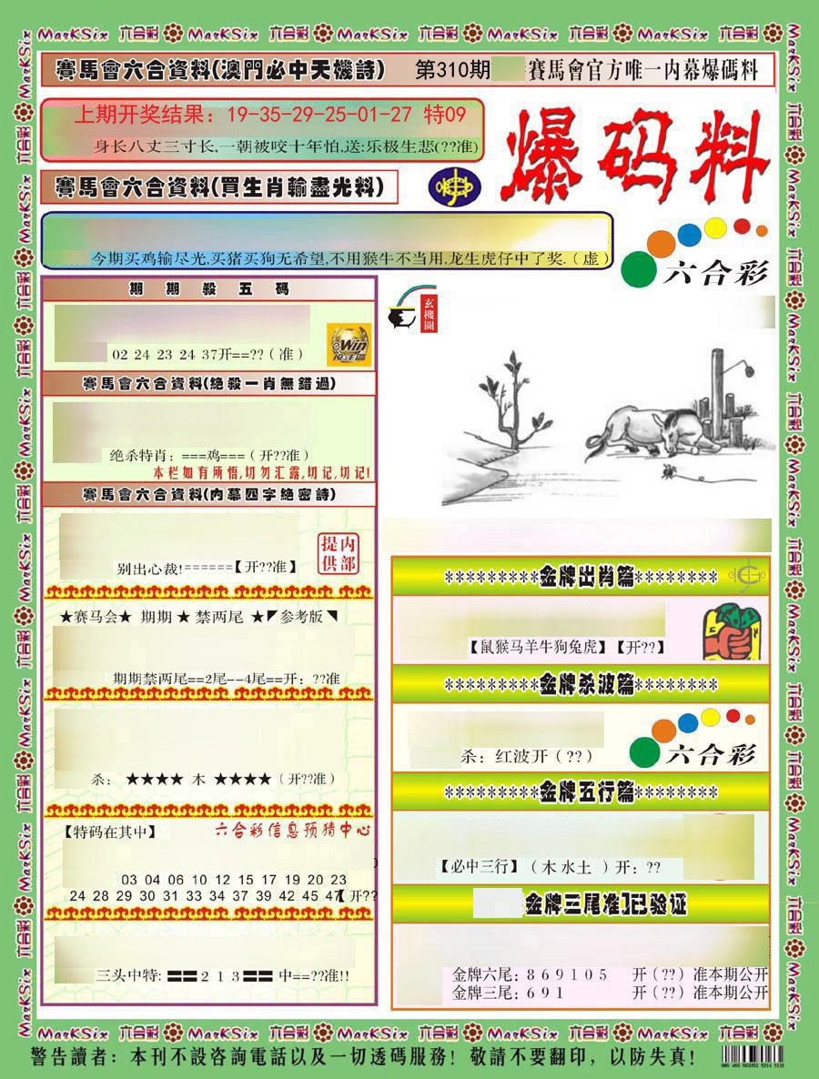 2024310期爆码料A)