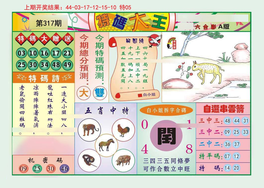2024317期特码大王A