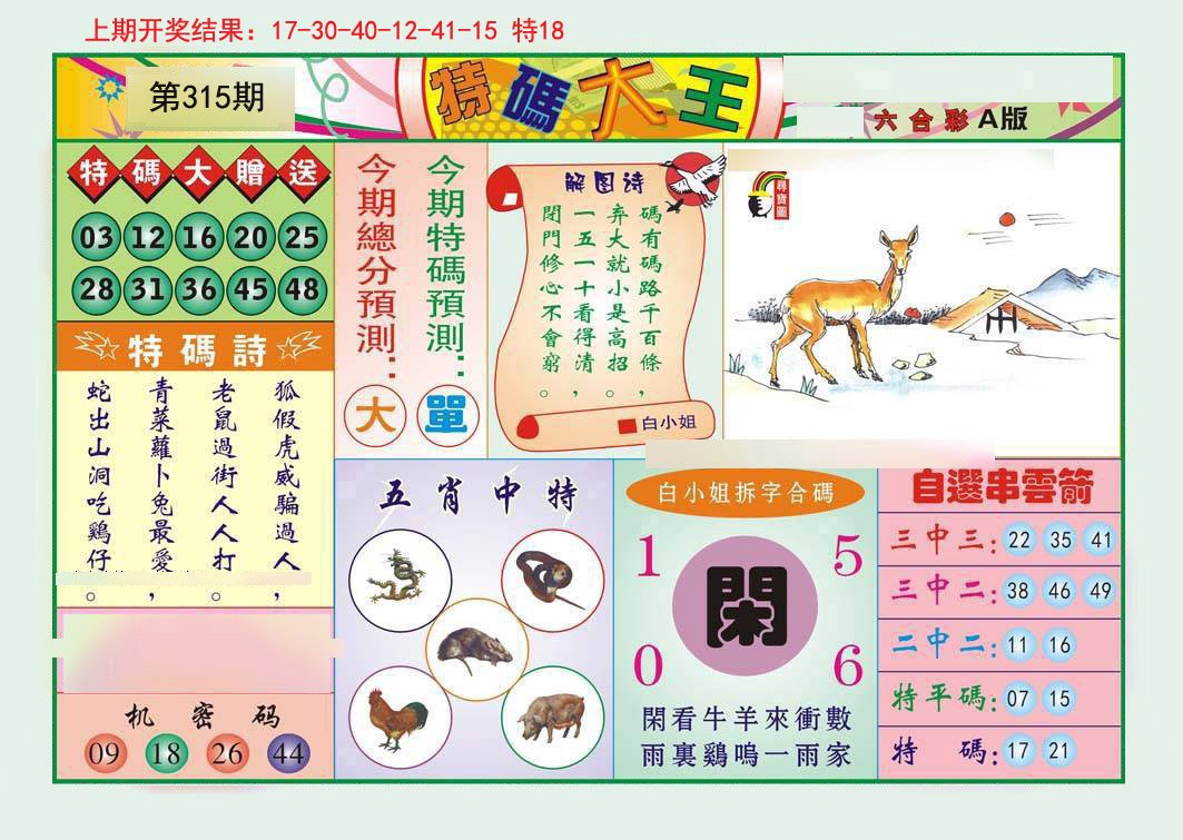 2024315期特码大王A