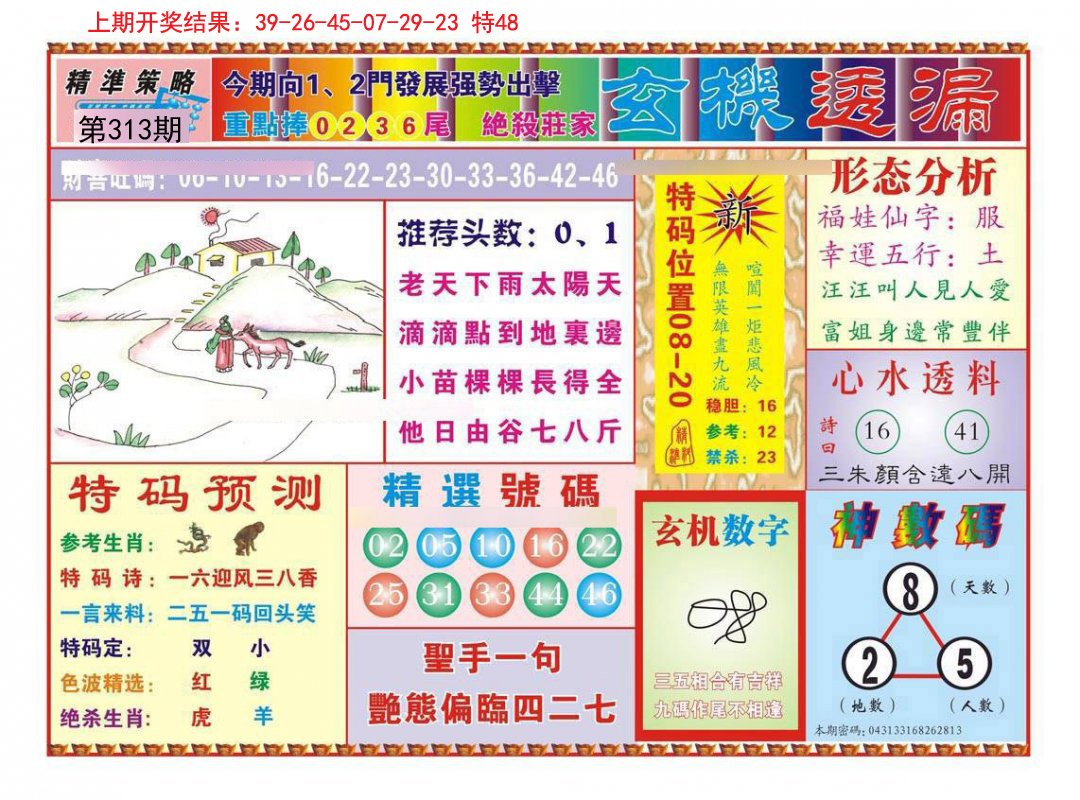 2024313期玄机透漏