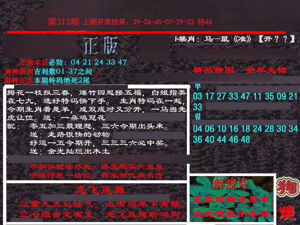 2024313期新港内幕