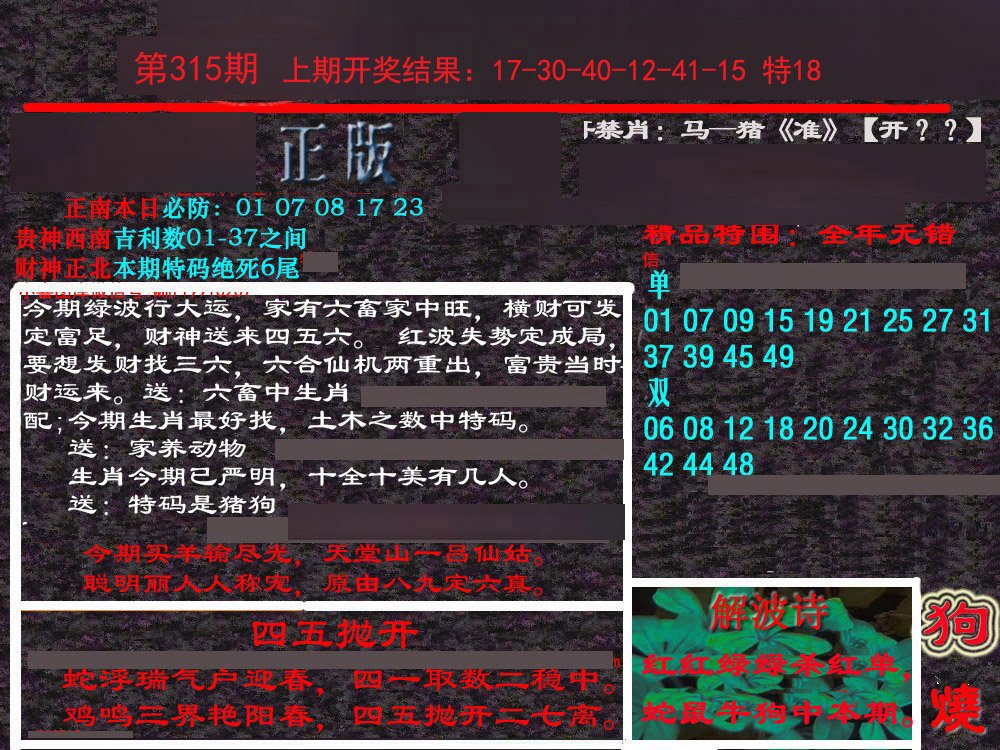 2024315期新港内幕