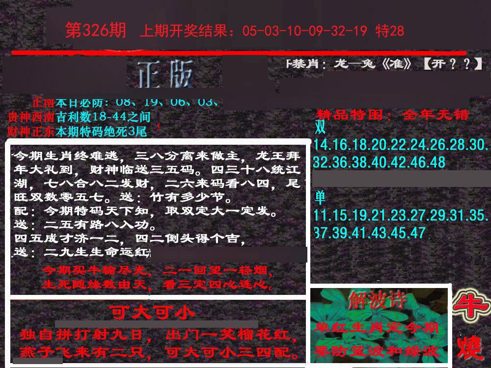 2024326期新港内幕