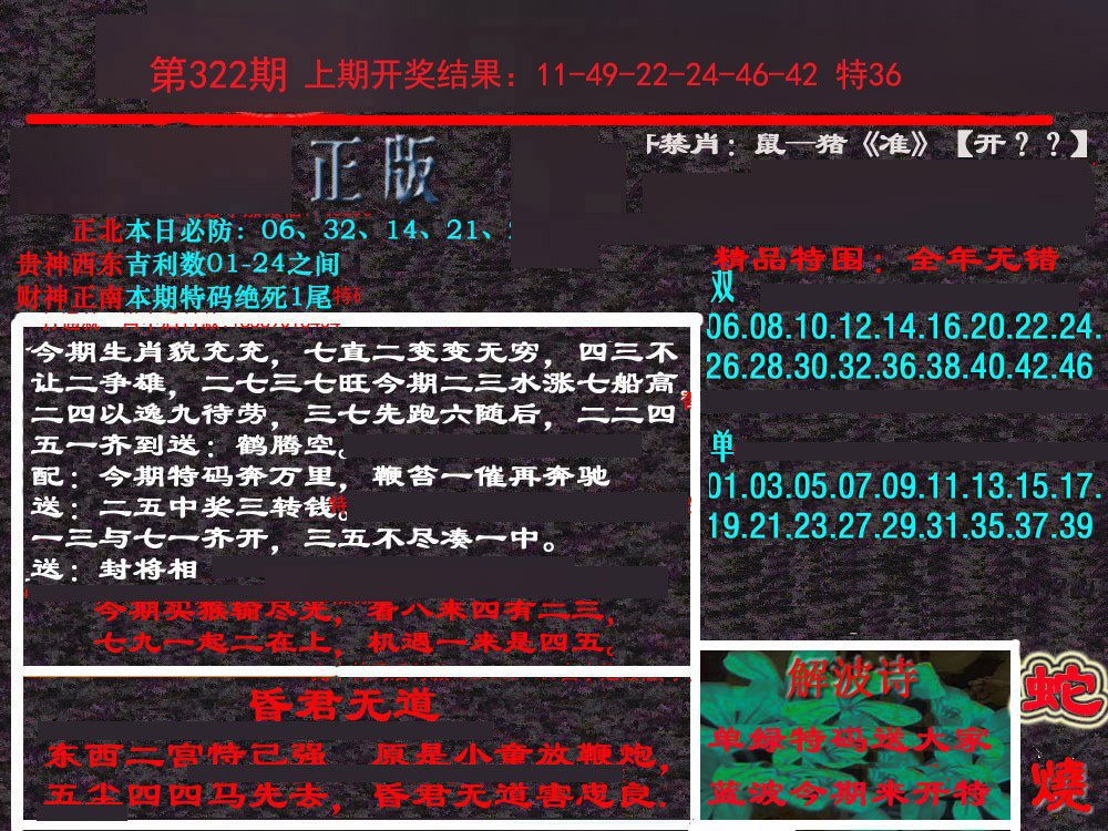 2024322期新港内幕