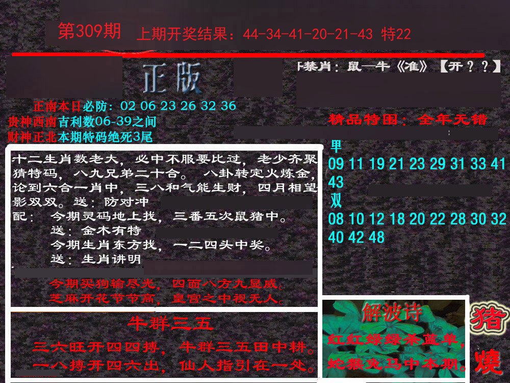 2024309期新港内幕