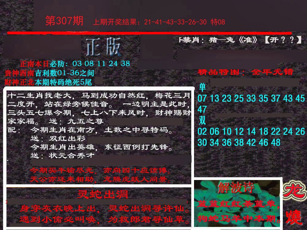2024307期新港内幕