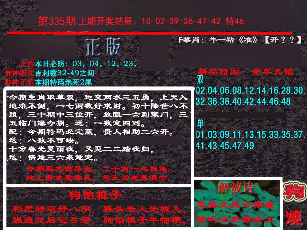 2024335期新港内幕