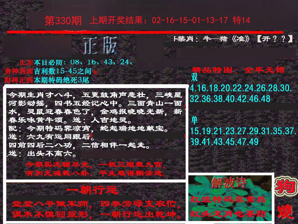 2024330期新港内幕