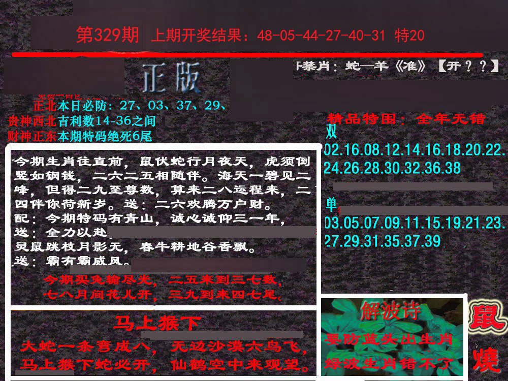 2024329期新港内幕