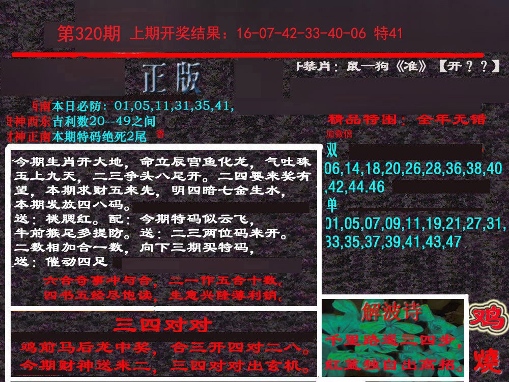 2024320期新港内幕