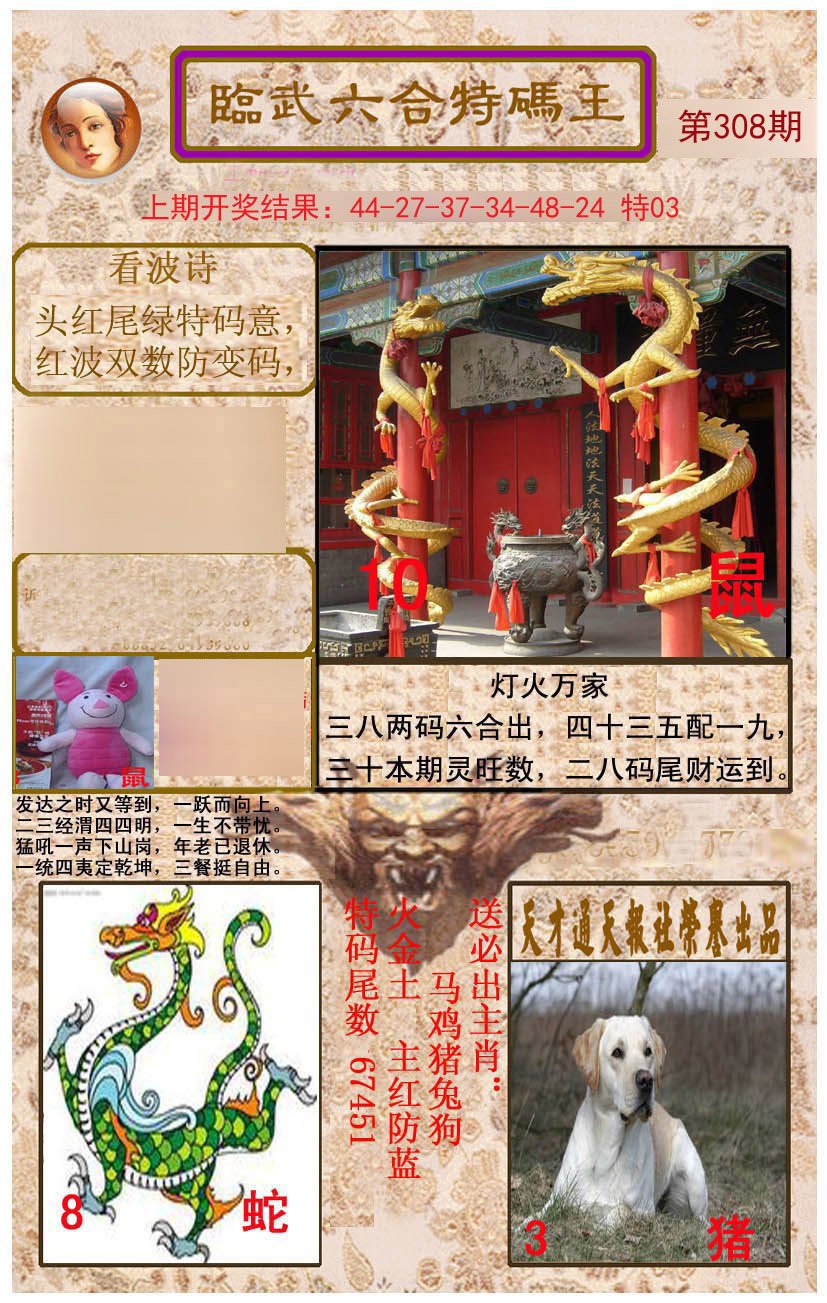 2024308期临武六合特码王