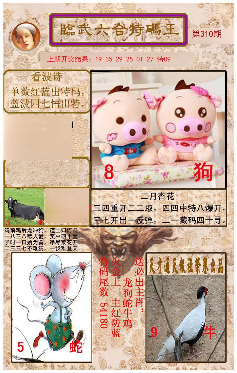 2024310期临武六合特码王