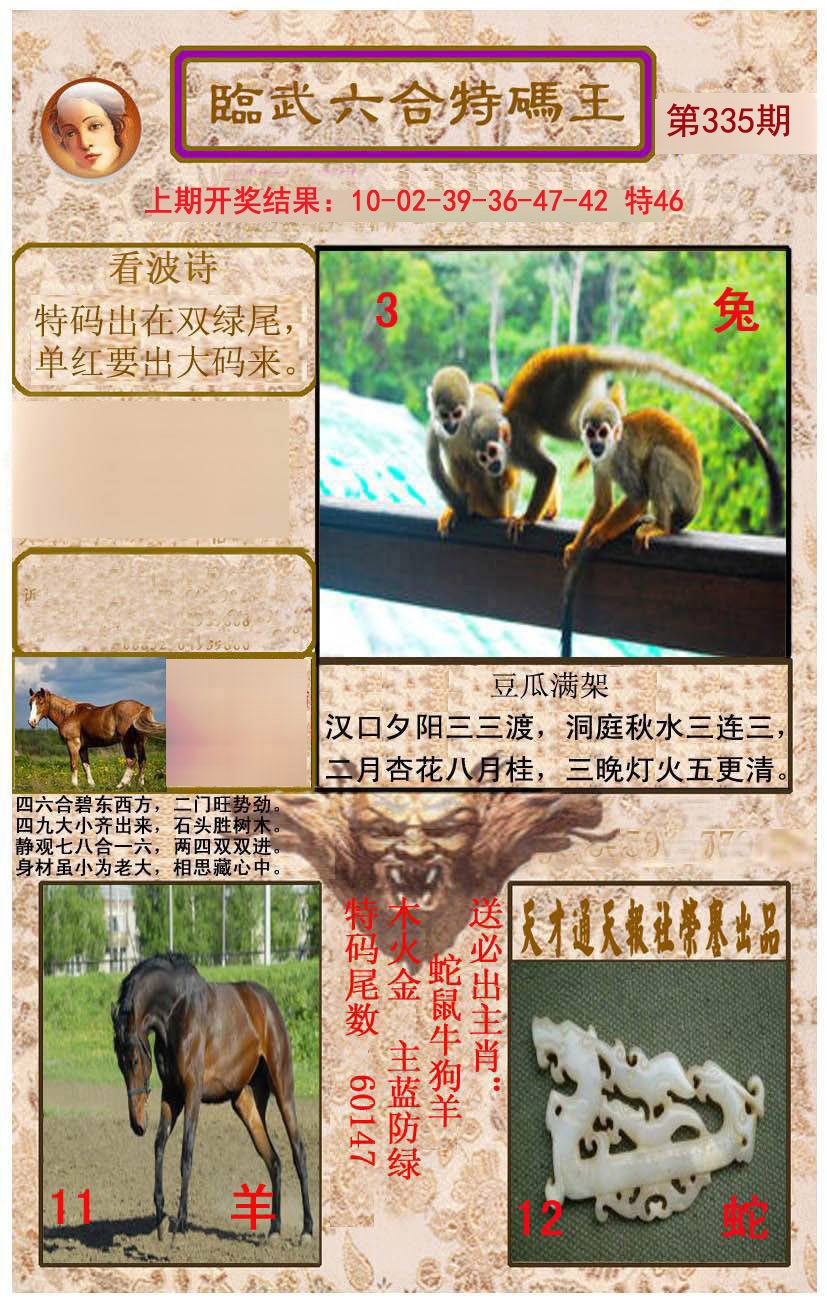2024335期临武六合特码王
