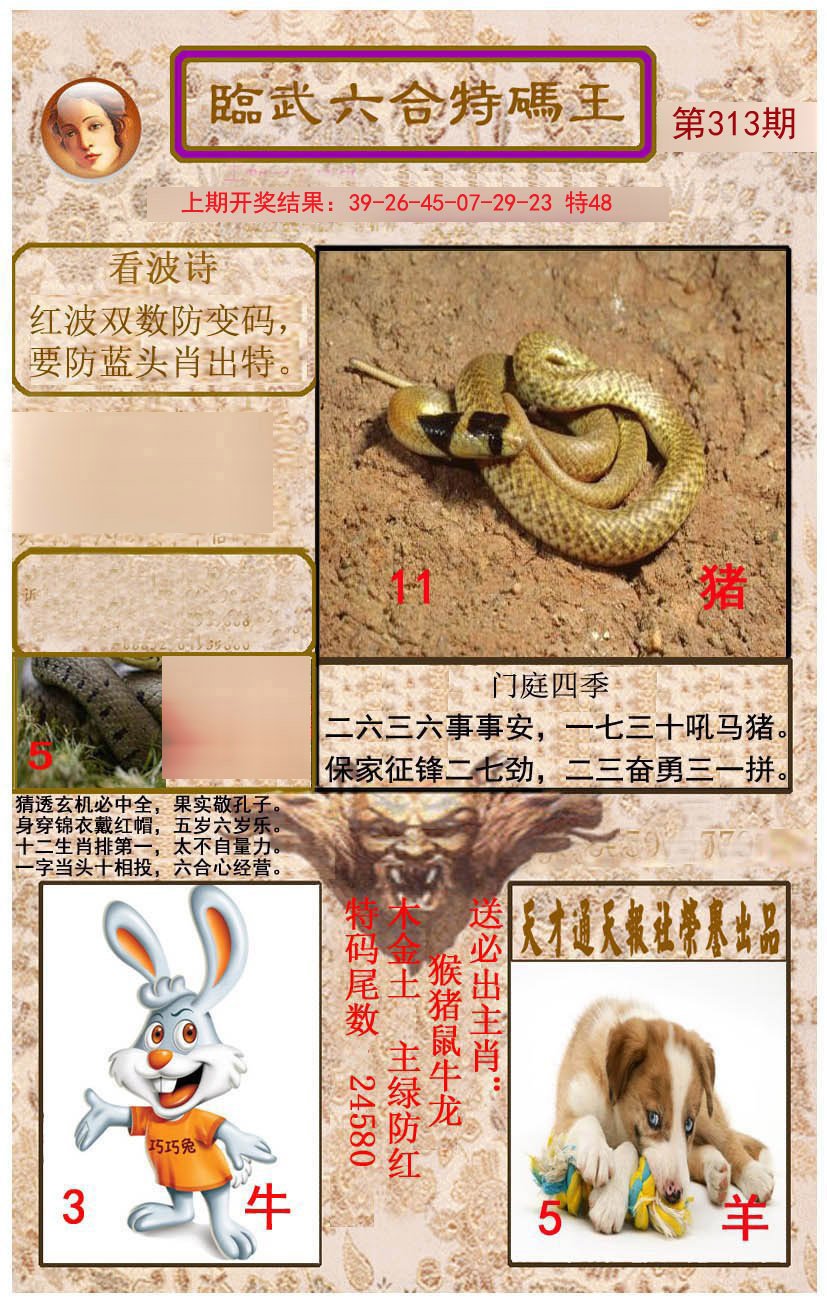2024313期临武六合特码王