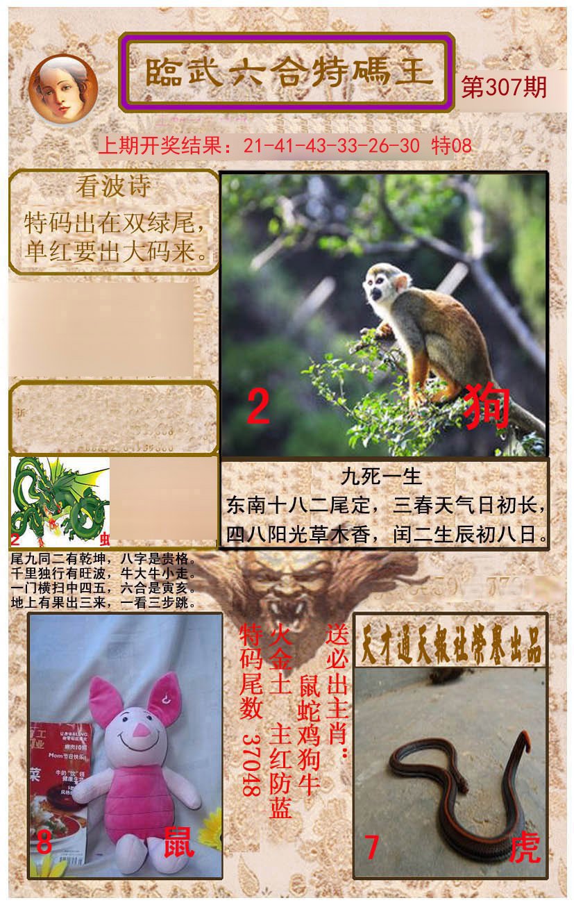 2024307期临武六合特码王