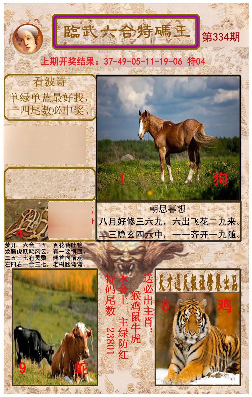 2024334期临武六合特码王
