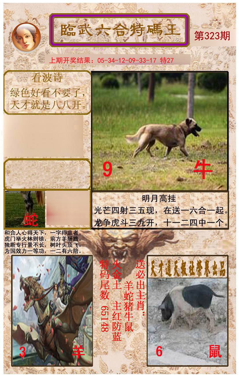 2024323期临武六合特码王