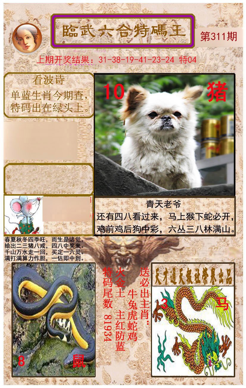 2024311期临武六合特码王