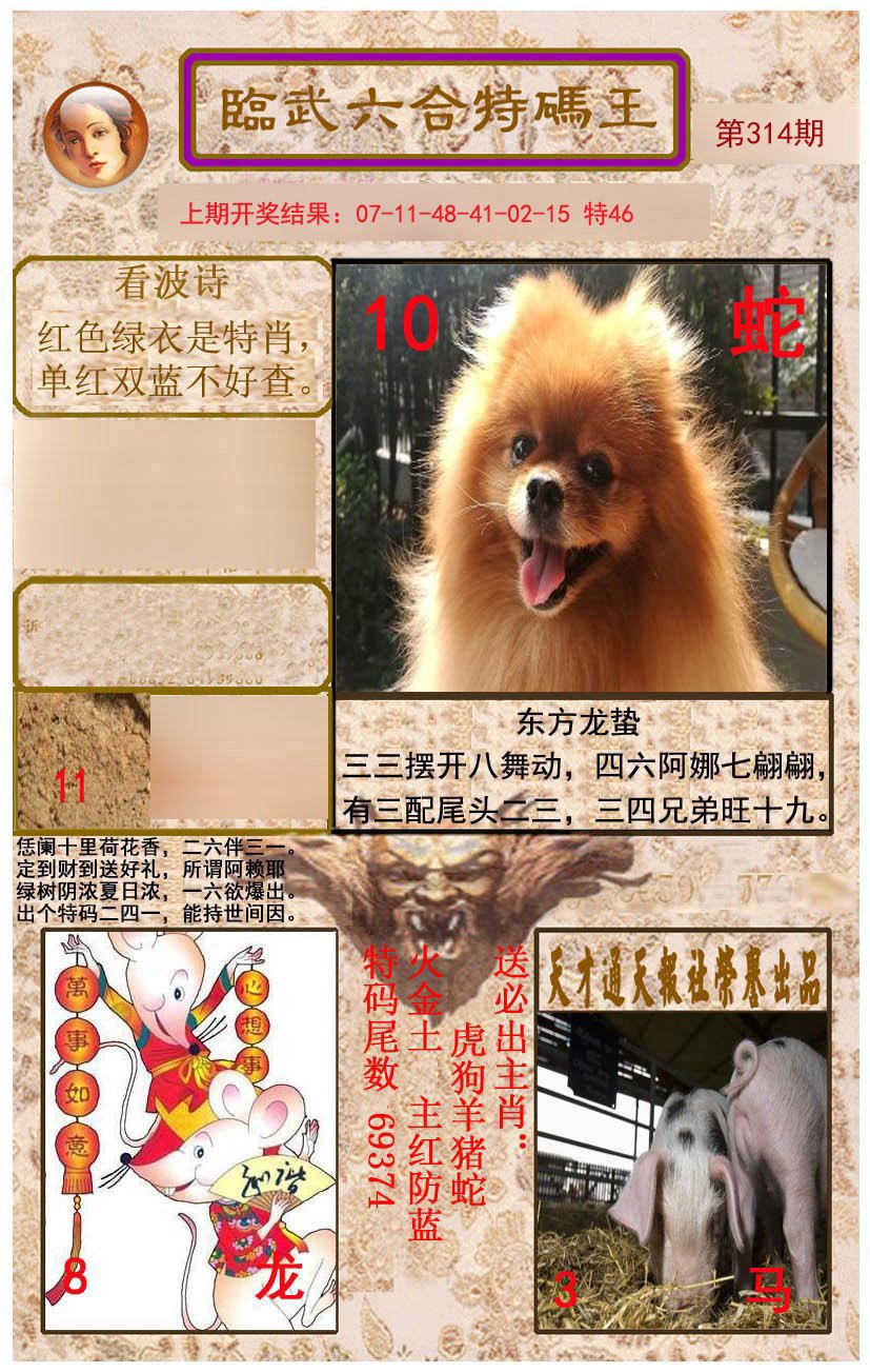 2024314期临武六合特码王