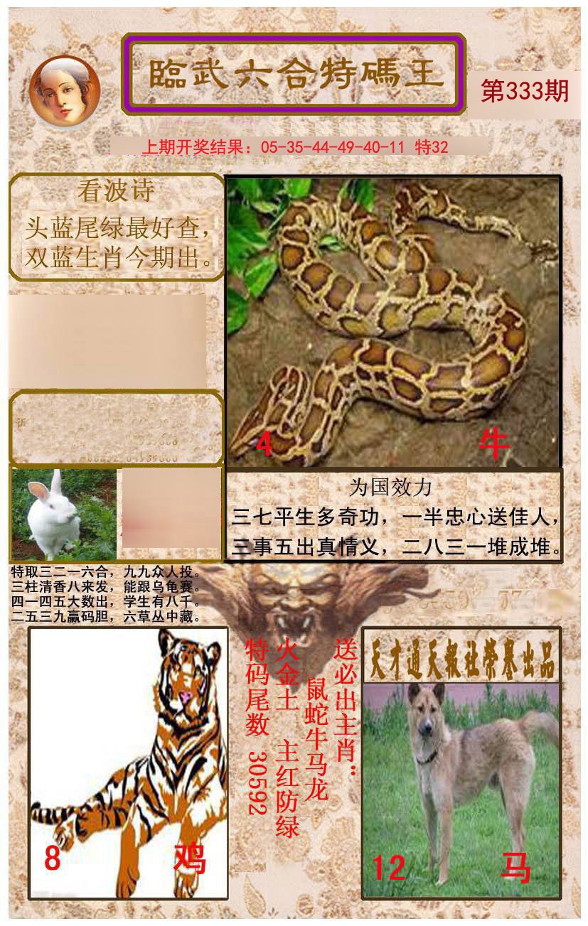 2024333期临武六合特码王