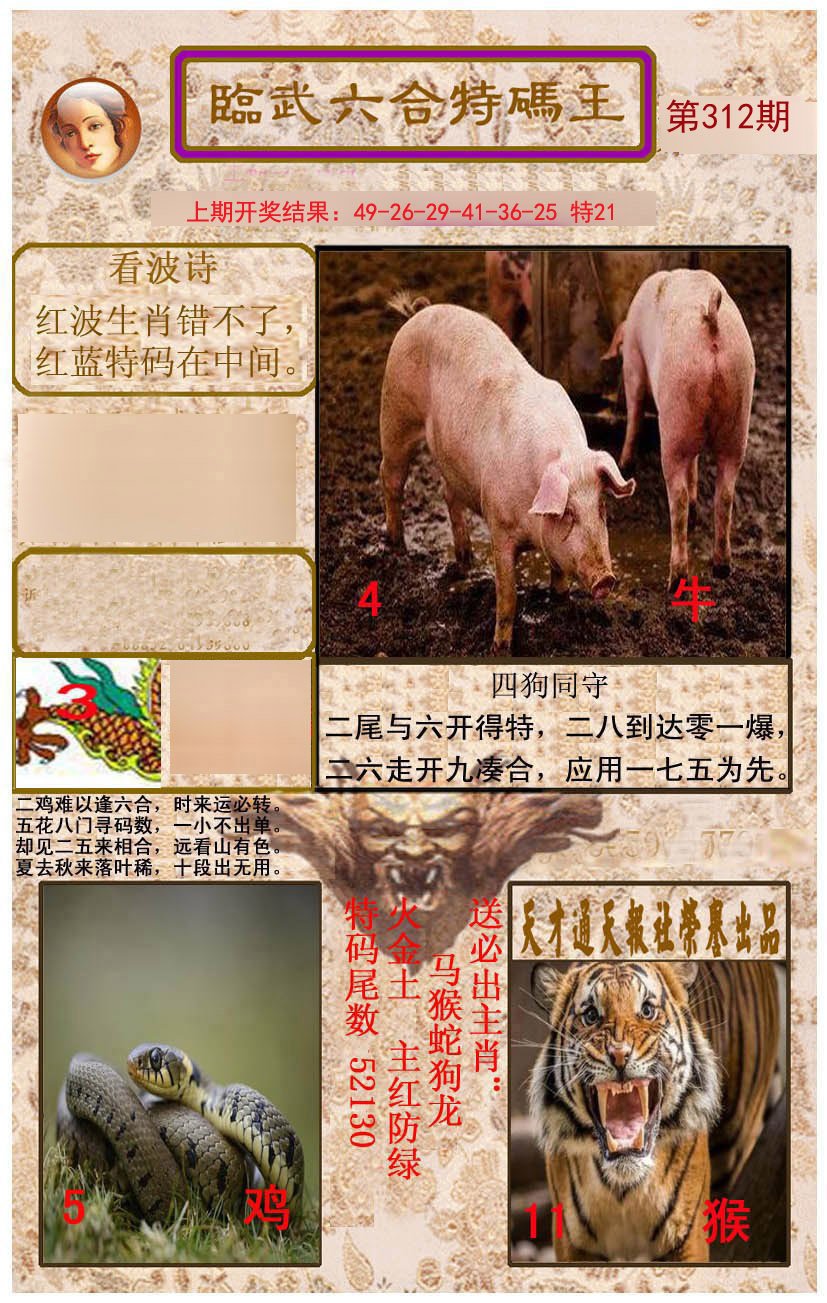 2024312期临武六合特码王