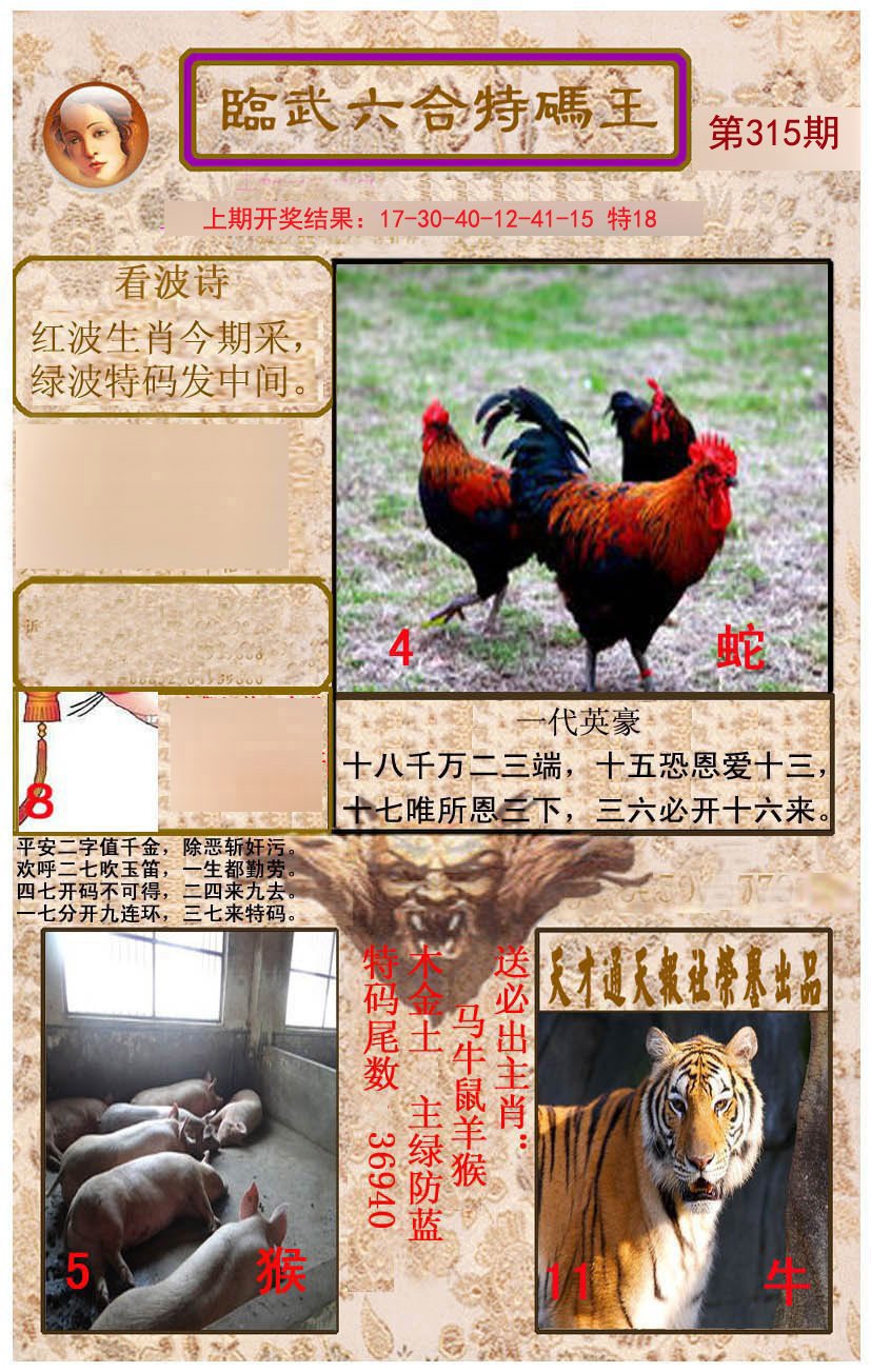 2024315期临武六合特码王