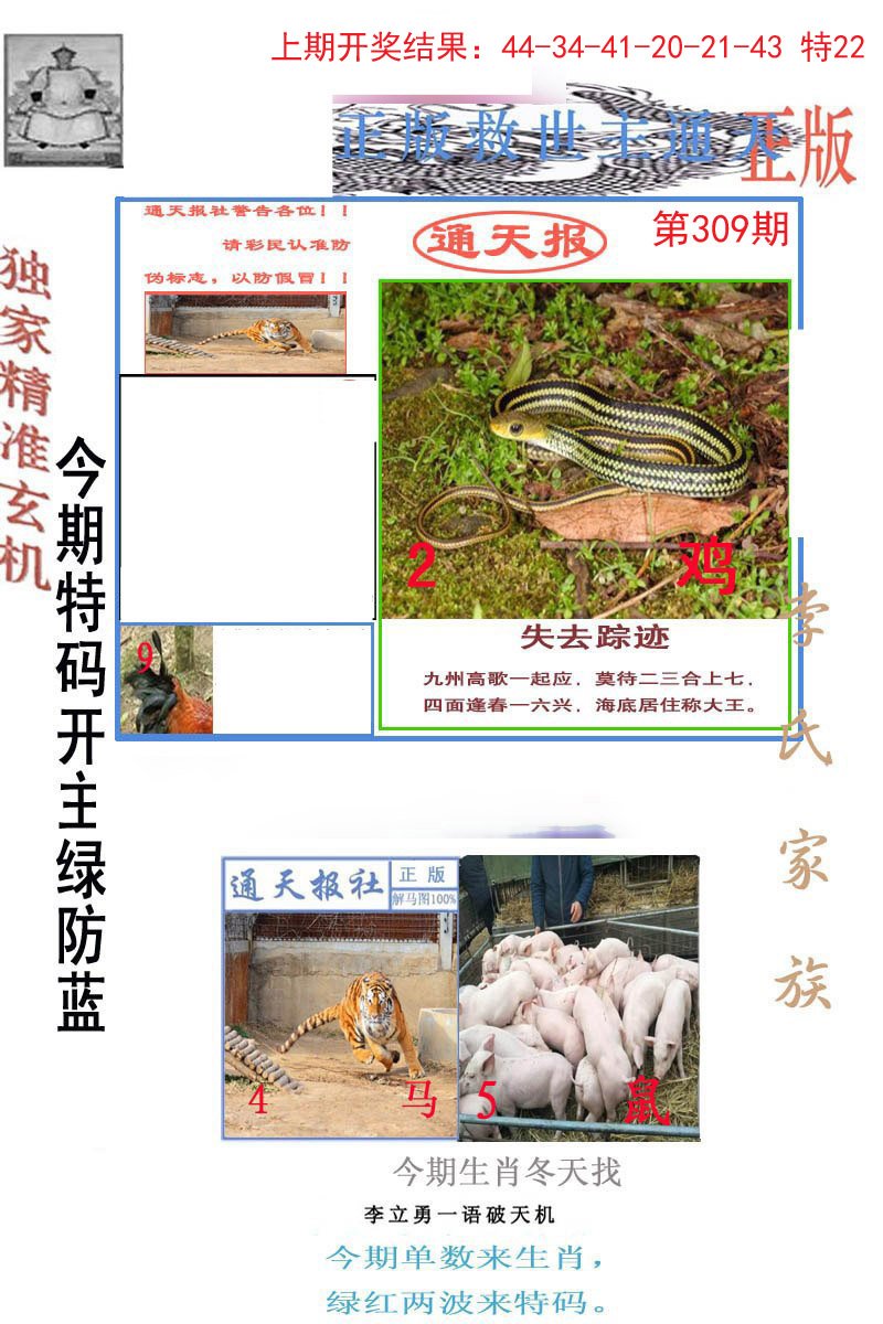 2024309期李力勇通天报