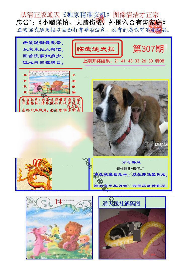 2024307期临武通天报