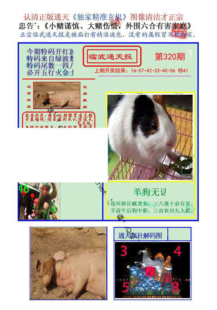2024320期临武通天报