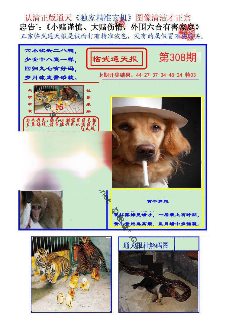 2024308期临武通天报