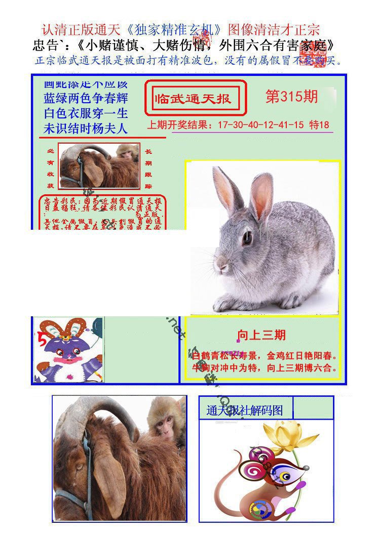 2024315期临武通天报