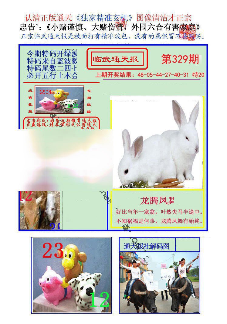 2024329期临武通天报