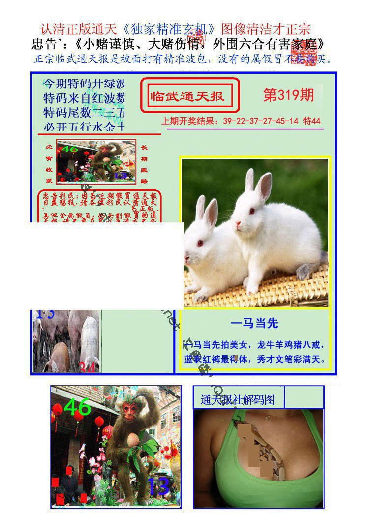 2024319期临武通天报