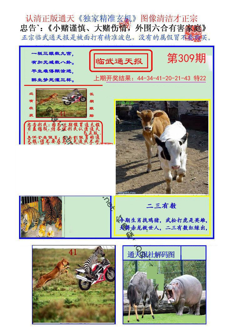 2024309期临武通天报