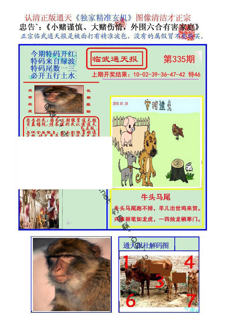2024335期临武通天报