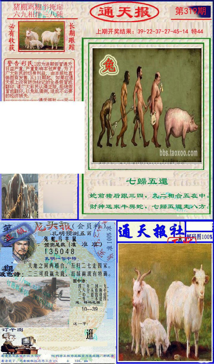 2024319期实力通天报