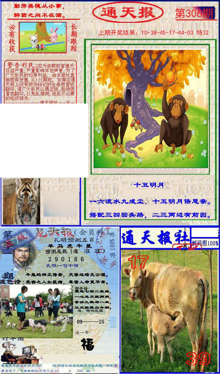 2024306期实力通天报