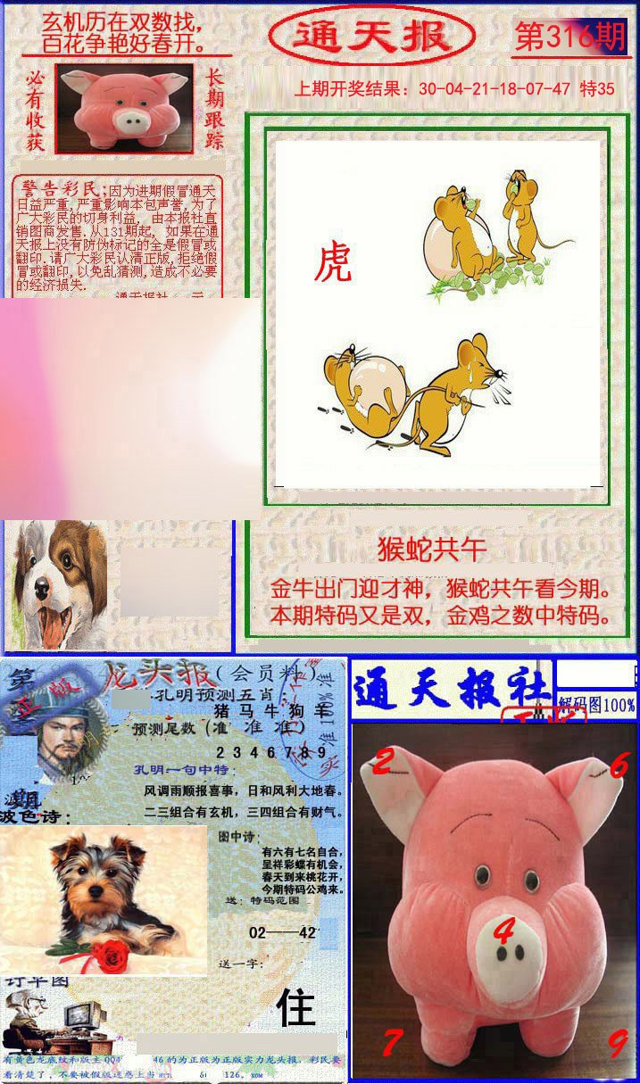 2024316期实力通天报